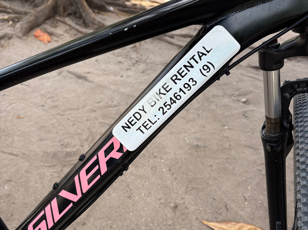 Nedy's Bicycle Rental-La Digue必去景点