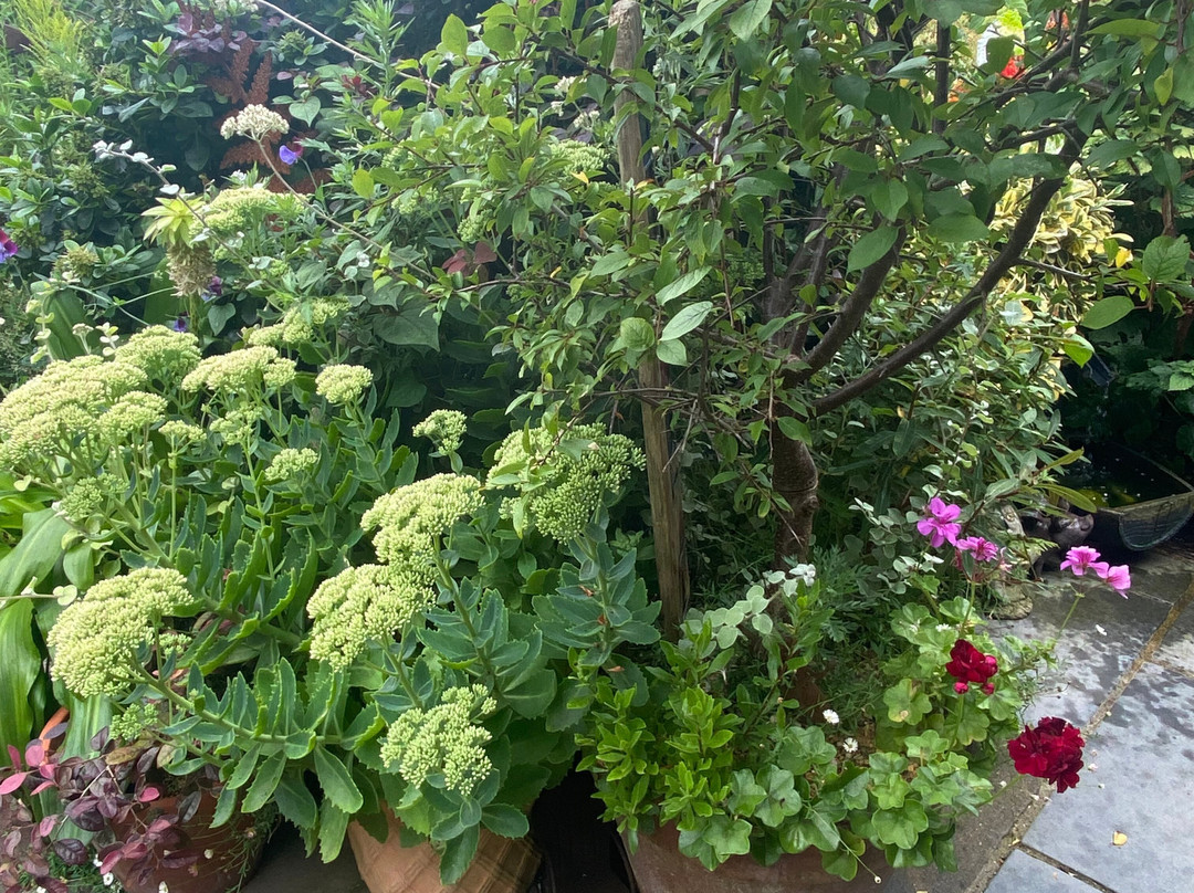 Driftwood by Sea-西福德必去景点