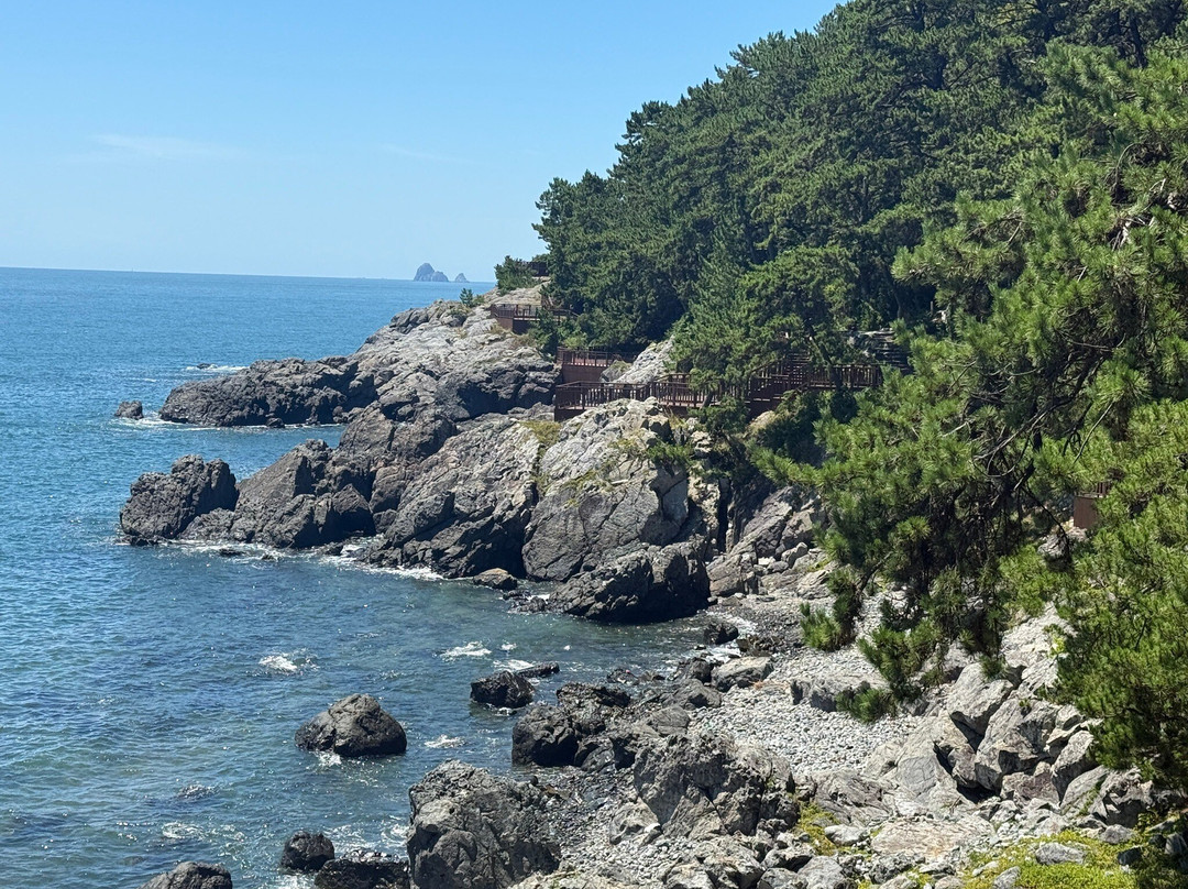 Dongbaekseom-釜山必去景点