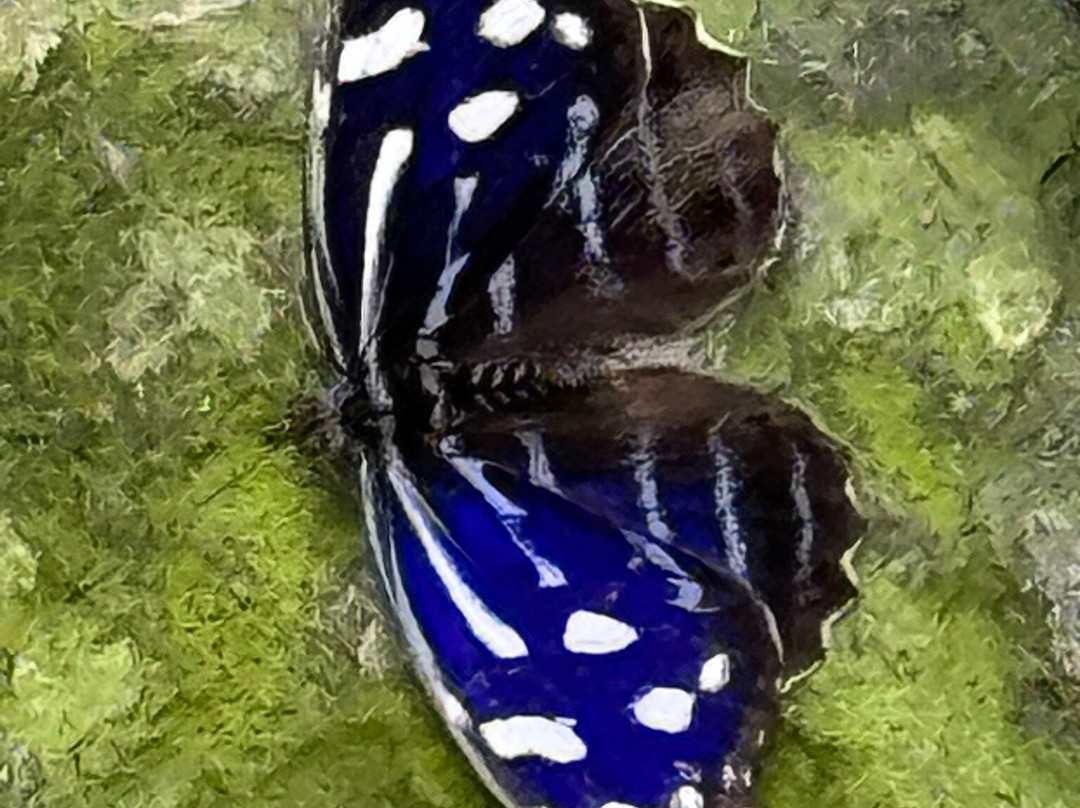 Jardin Botanique du Beau Pays-Marck必去景点