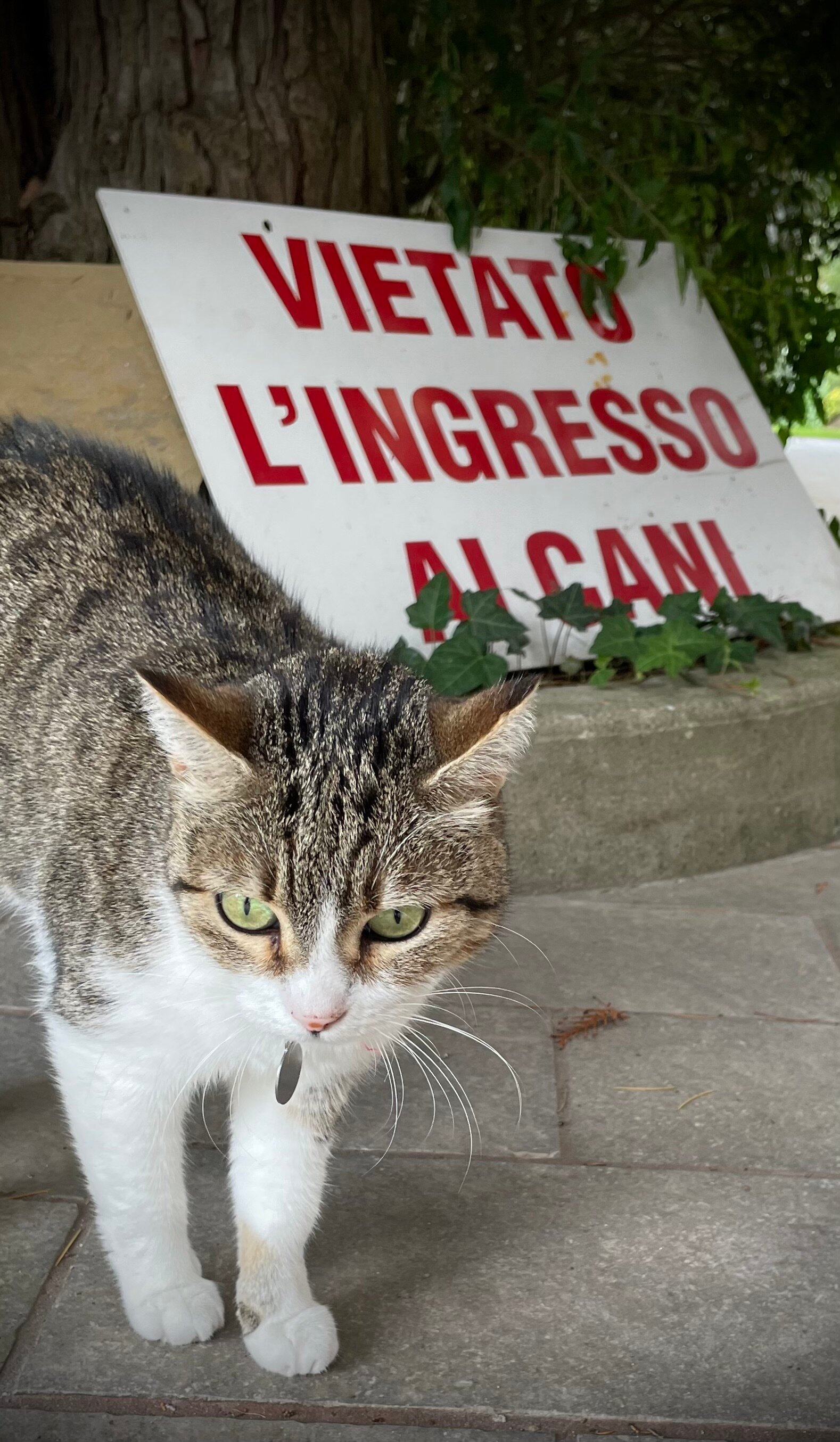 Hotel Due Ponti-官方