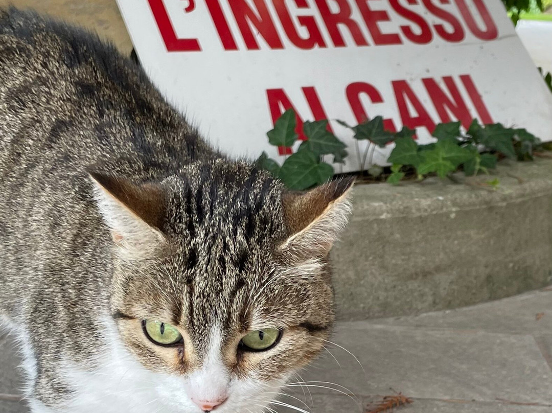 Hotel Due Ponti主图