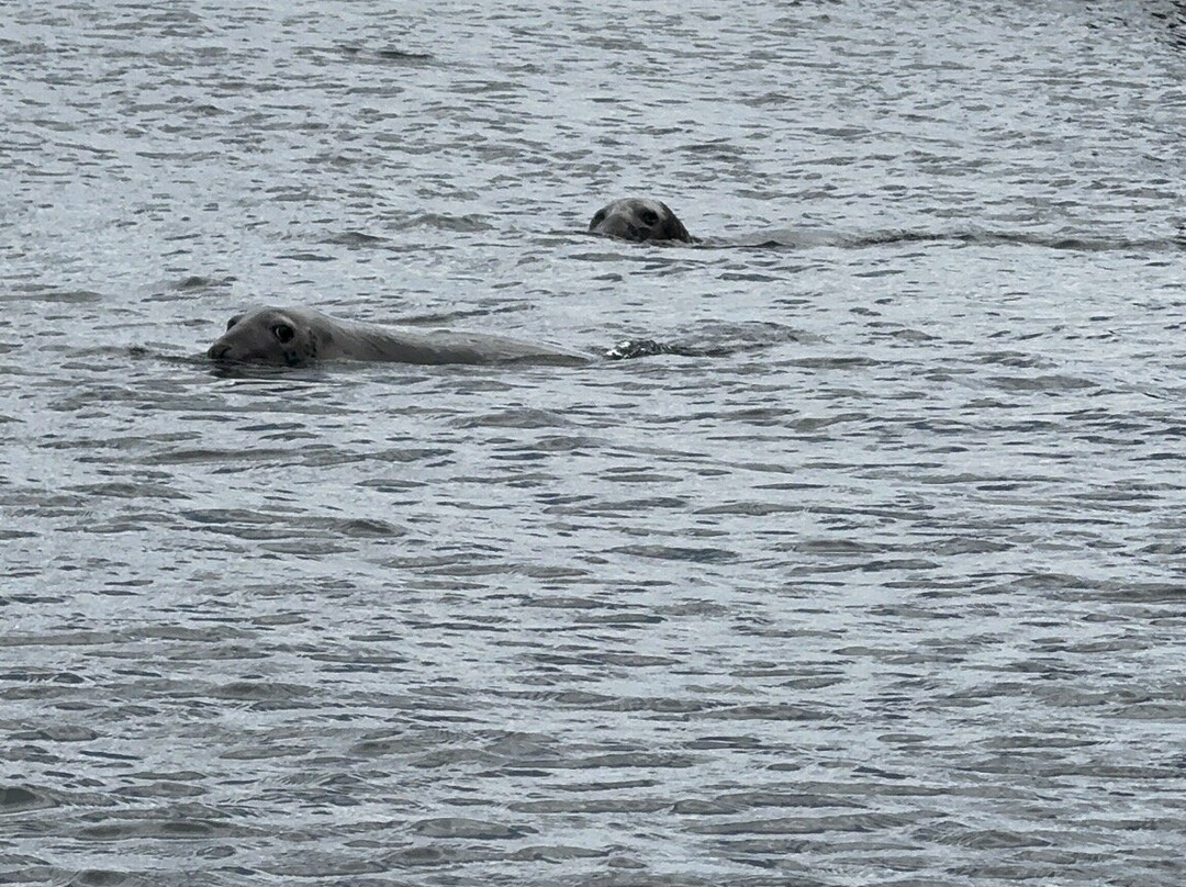 Baltimore Sea Safari-Baltimore必去景点