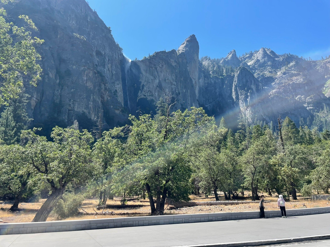 Yosemite National Park-优胜美地国家公园必去景点