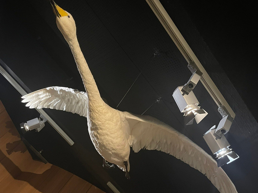 Museokeskus Vapriikki-坦佩雷必去景点