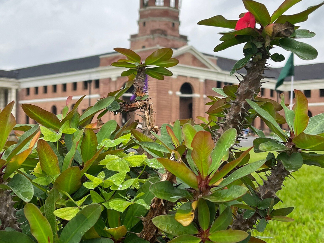 Forest Research Institute-阿姆利则必去景点