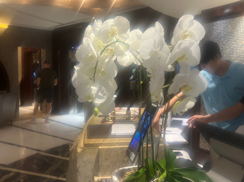 上海凯宾斯基大酒店水疗中心-上海市必去景点