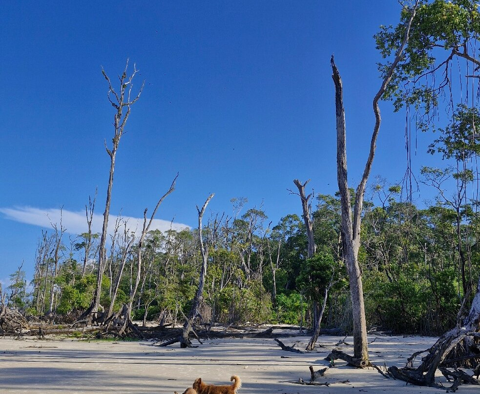 Barra Velha Beach-Soure必去景点