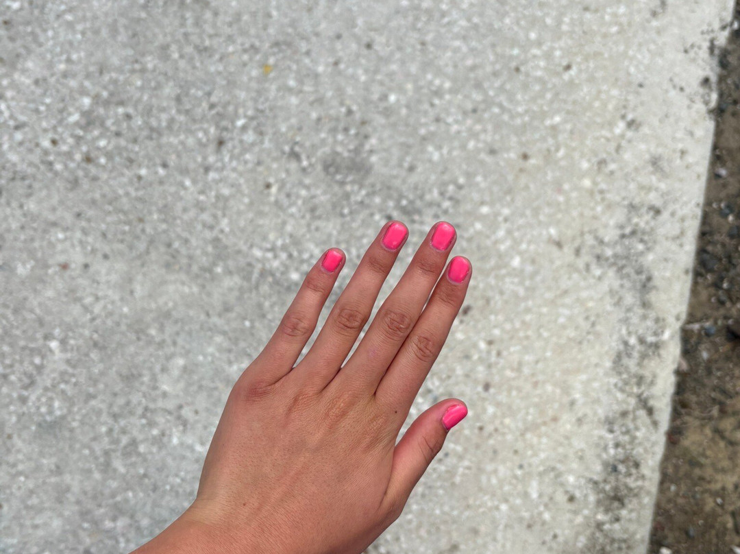 8, The Experience-Sint Willibrordus必去景点