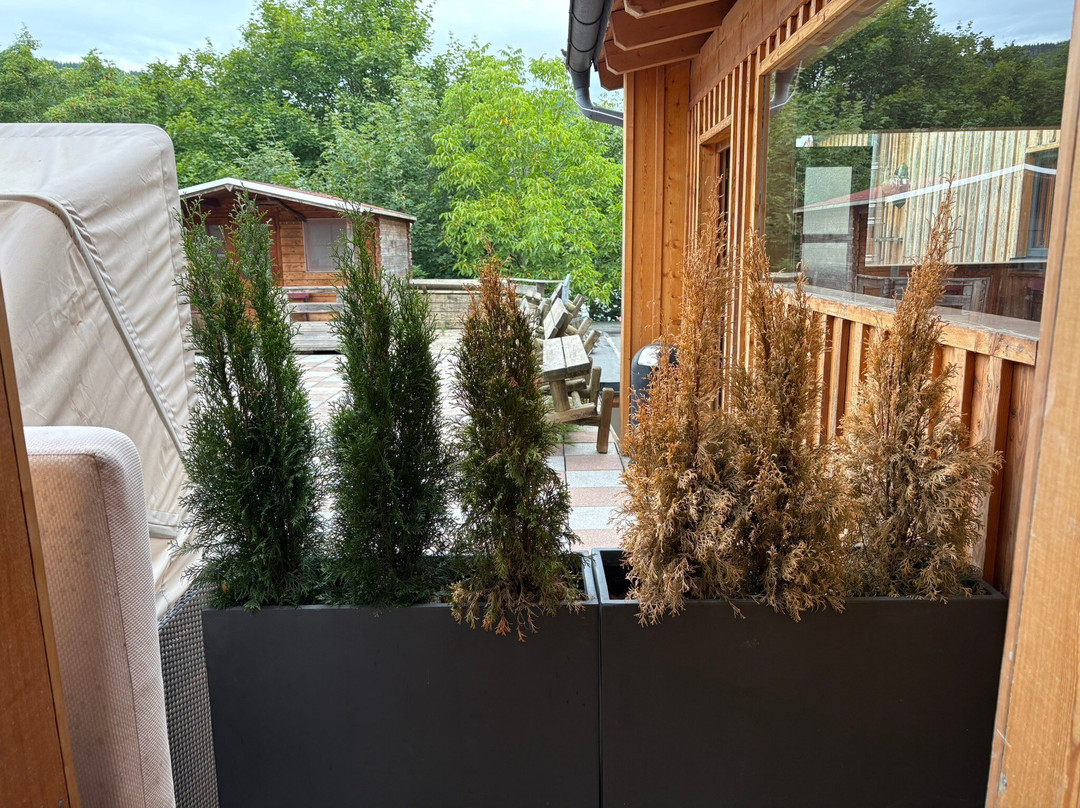 Hotel Wildschütz Basic主图