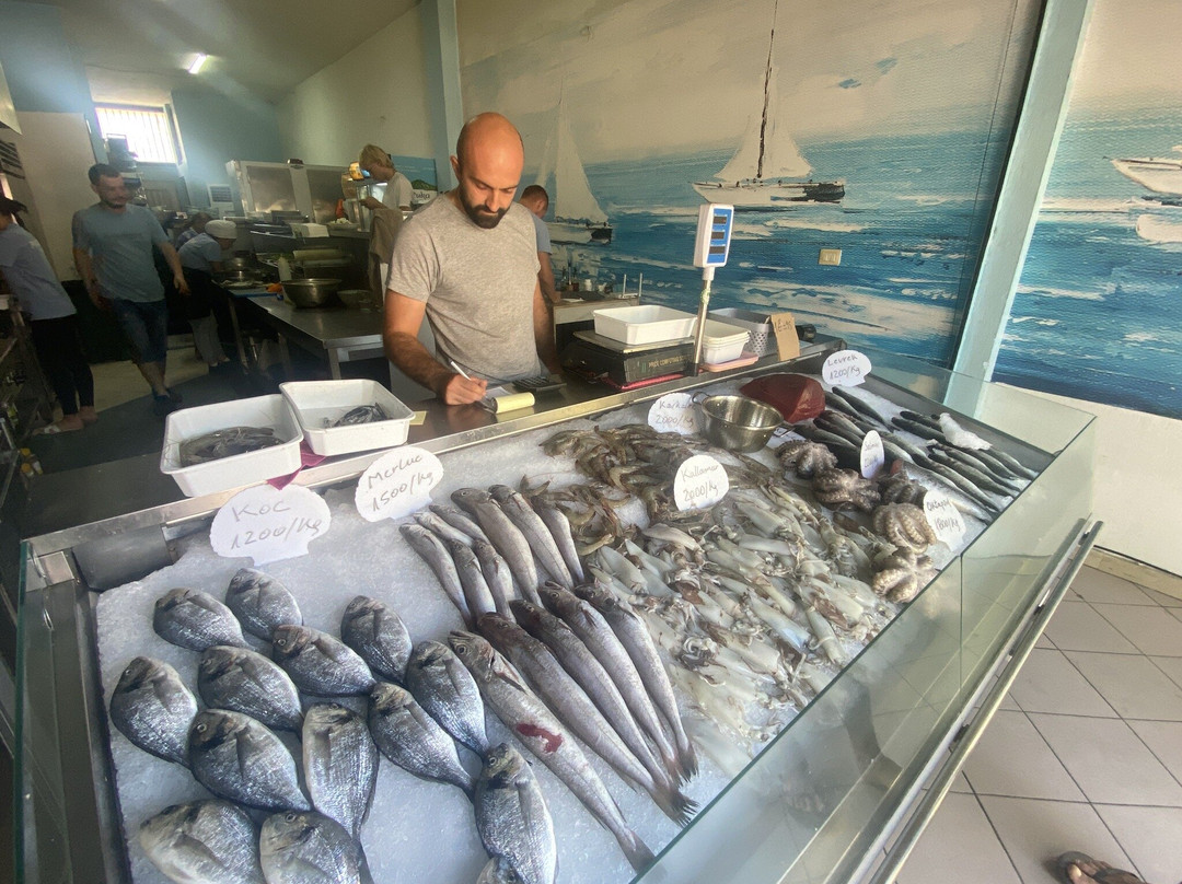 Peshk i fresket brace主图