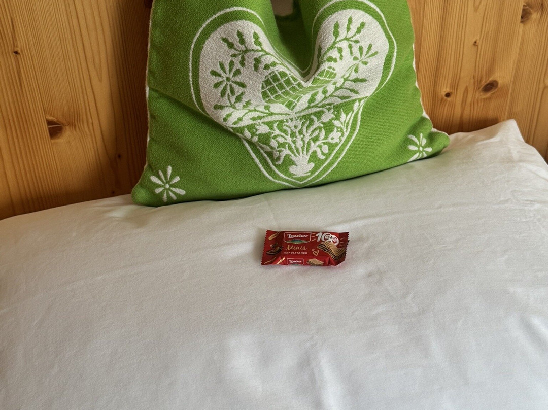 嘉斯托夫威耶尔巴酒店主图