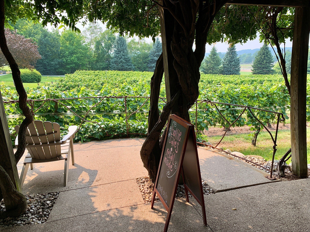 Bowers Harbor Vineyards-特拉弗斯城必去景点