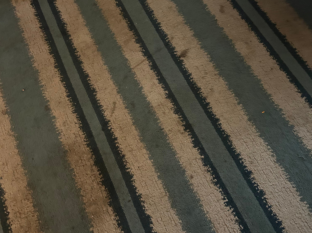 Sonesta ES Suites Chicago - Schaumburg主图