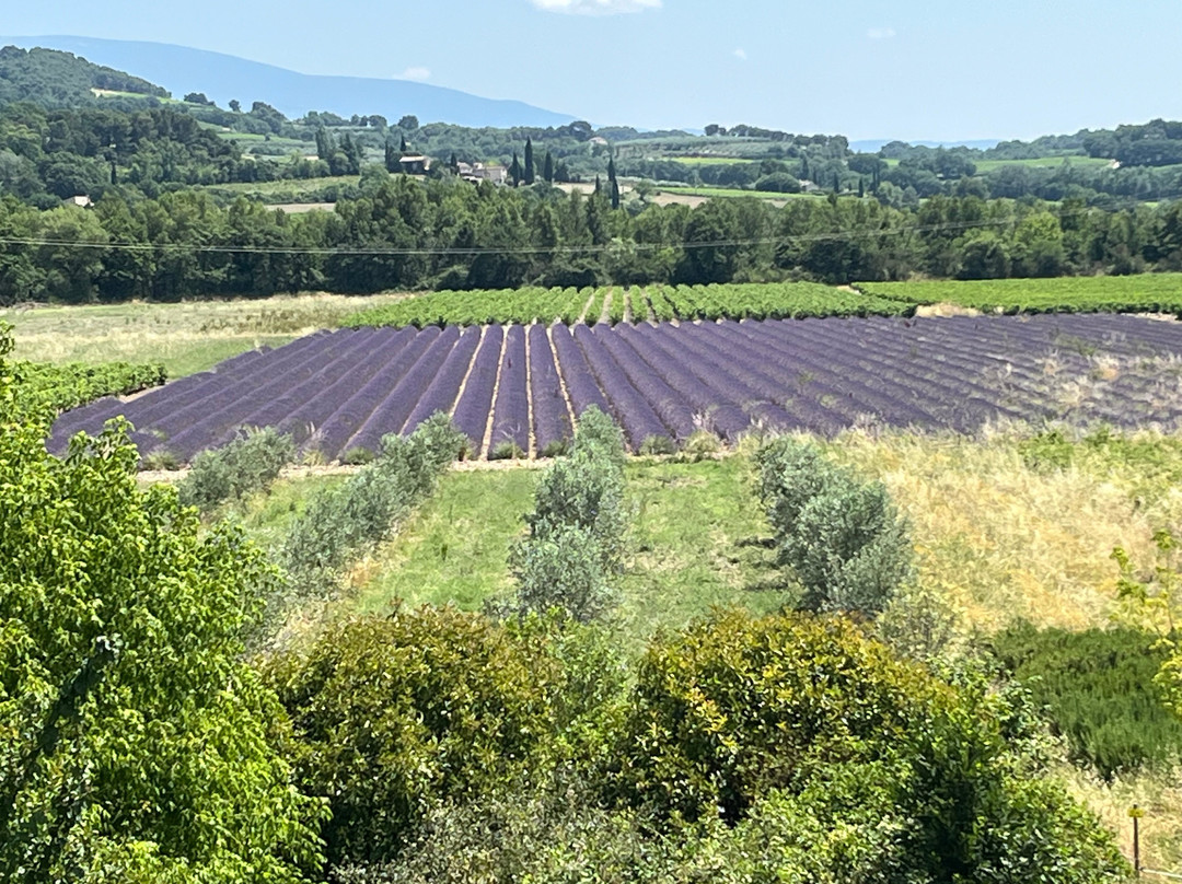 Logis Hôtel la Bastide des Monges主图