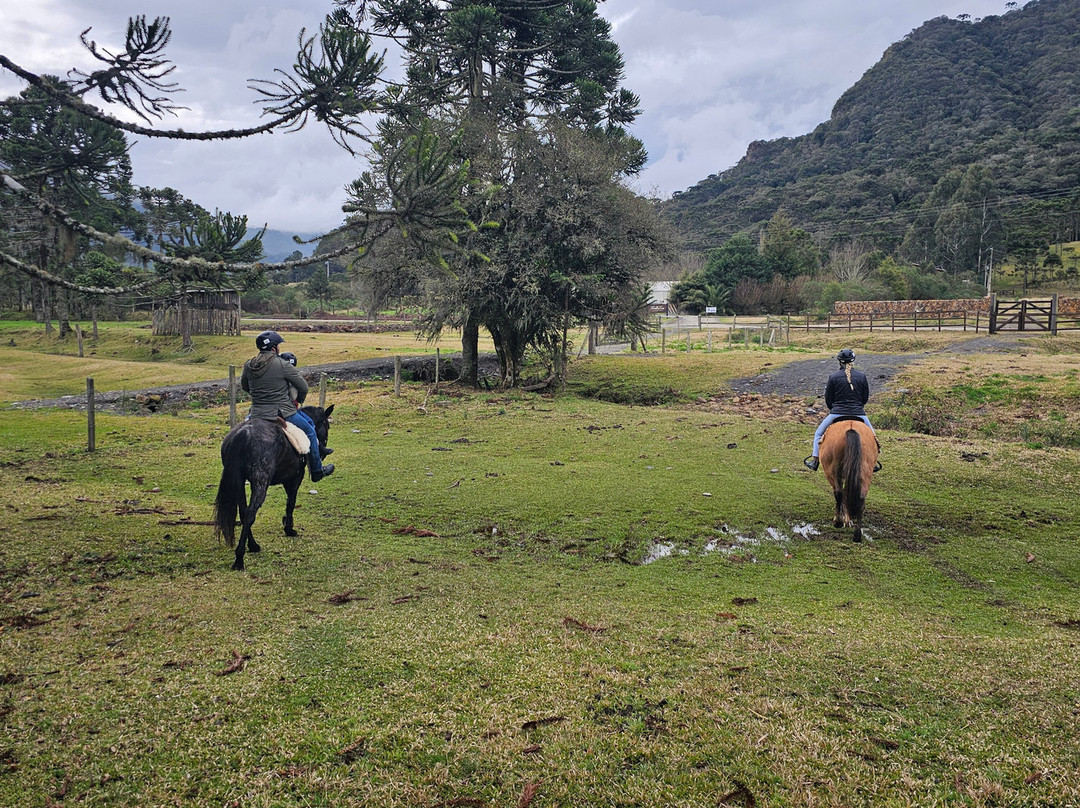 Fruta Fina Orgânicos-Urubici必去景点