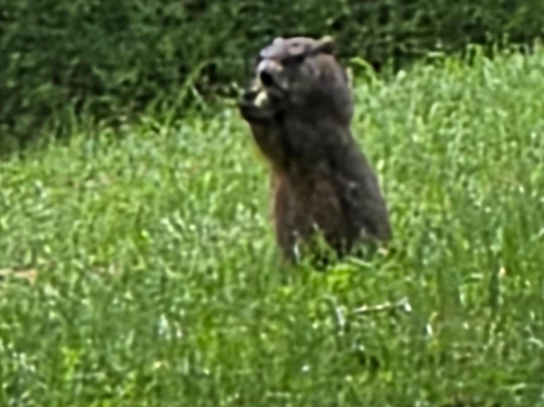 Morgan's Outdoor Adventures-Brookville必去景点