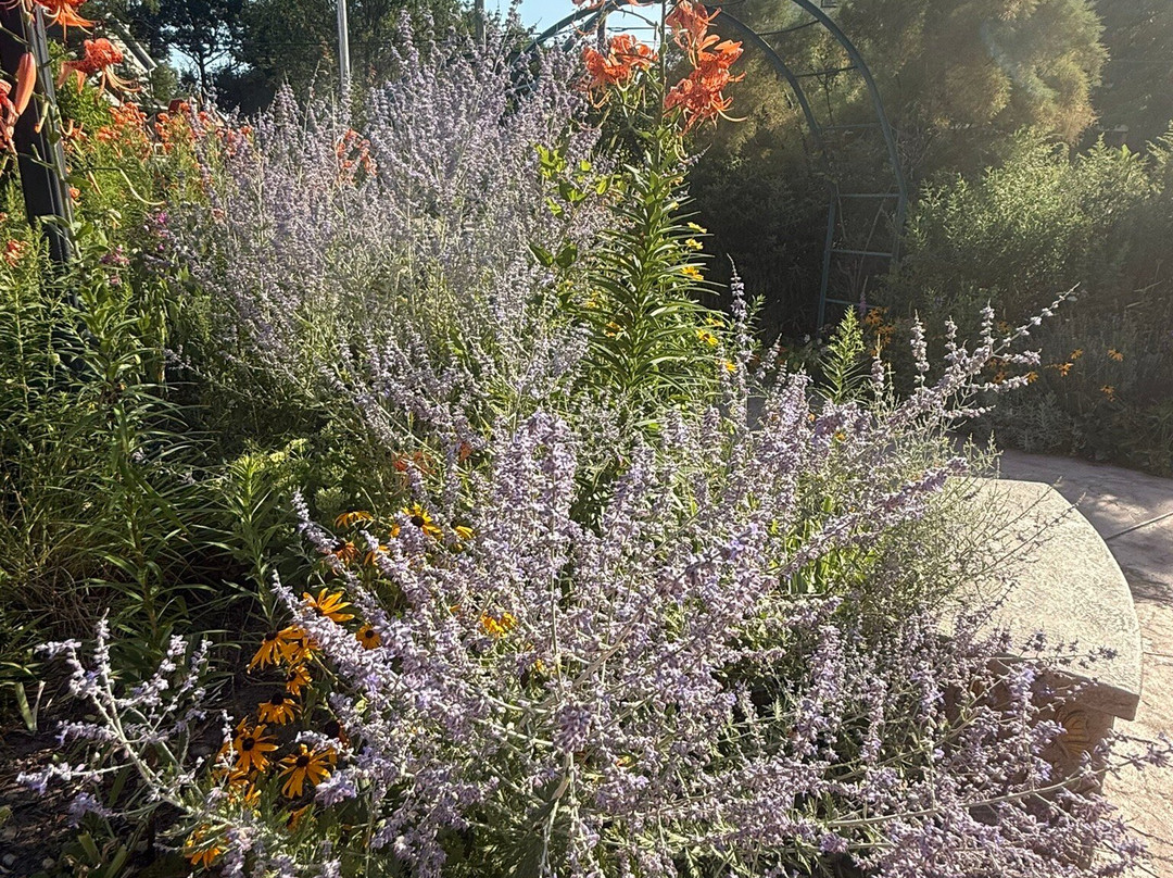 The Monet Garden of Muskegon-马斯基根必去景点