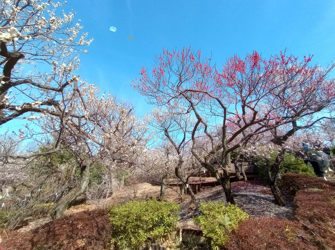 Hanegi Park-世田谷区必去景点