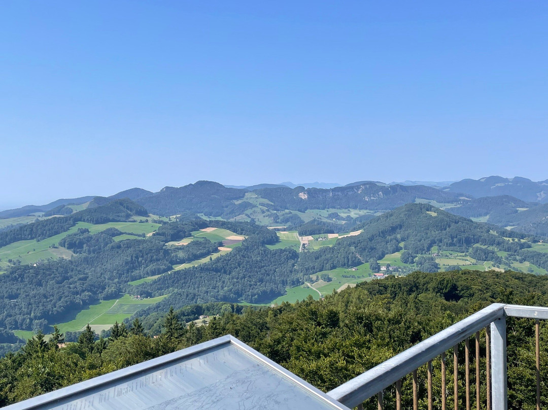 Bad Ramsach Quellhotel主图