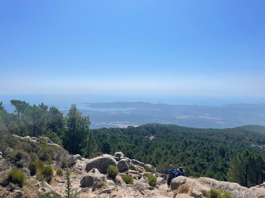 Foret de l'Ospedale-维琪奥港必去景点