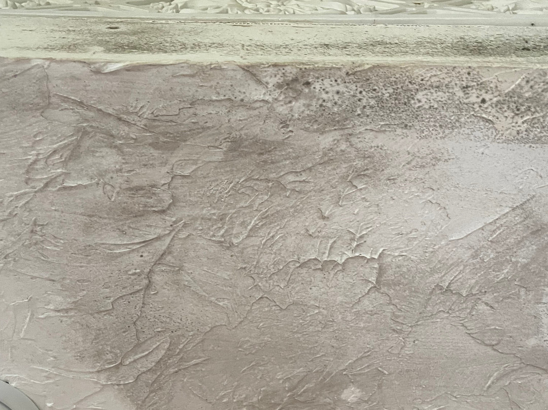 Vista Coiba Villas & Restaurant主图