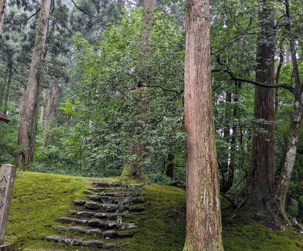 Hakusan Shrine (Heisenji-Hakusan Shrine)-胜山市必去景点