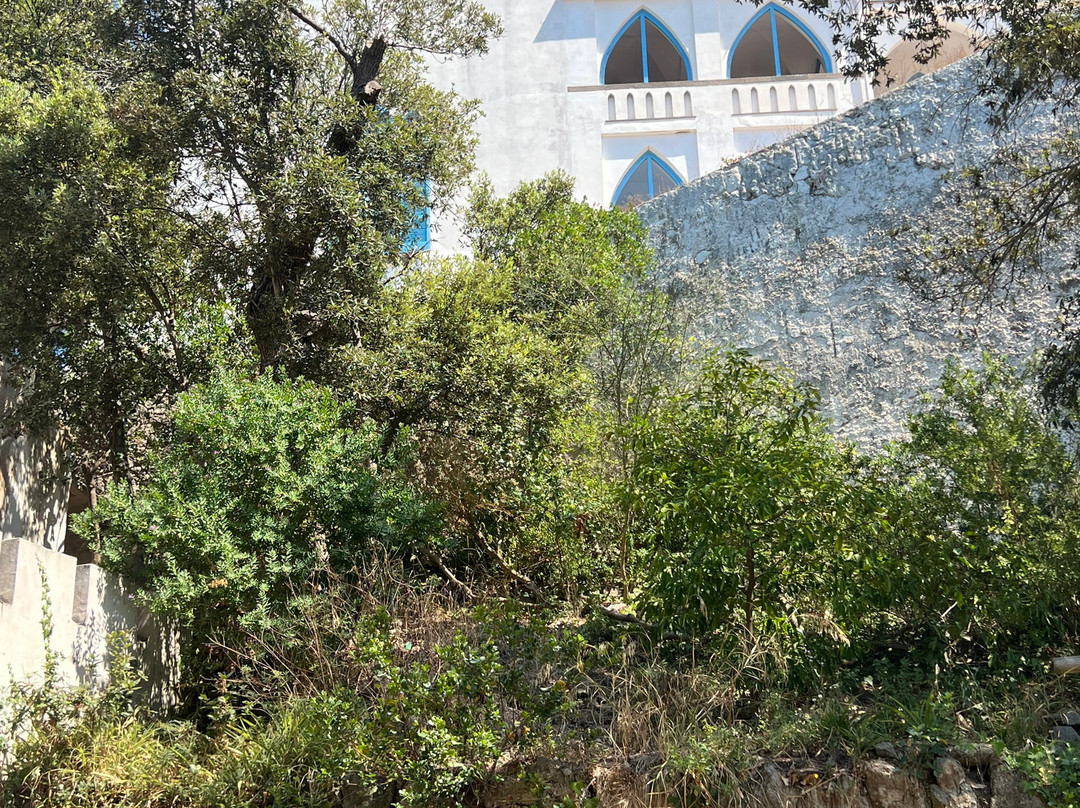 Luchino Visconti Museum - Villa La Colombaia-福里奥必去景点