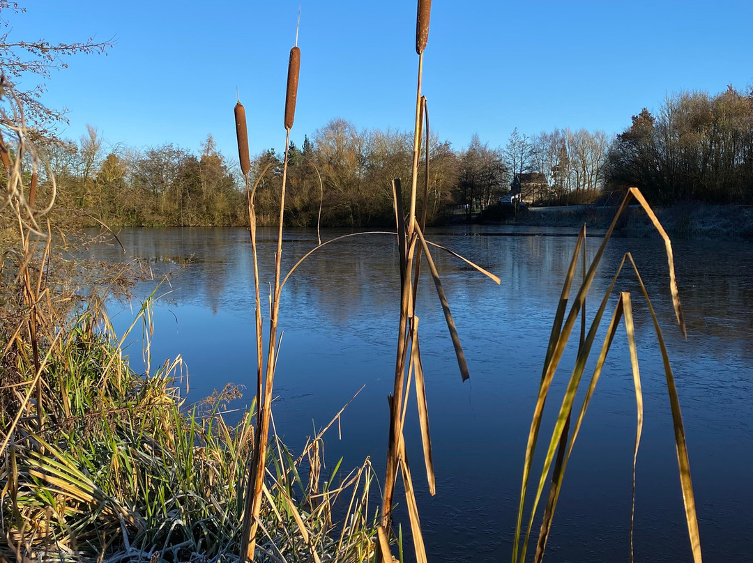 Orrell Water Park-Orrell必去景点