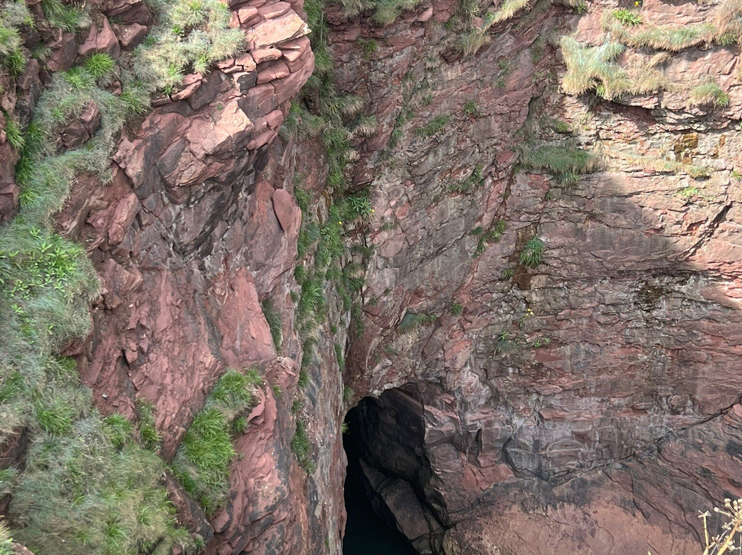 Arbroath Cliffs-Arbroath必去景点
