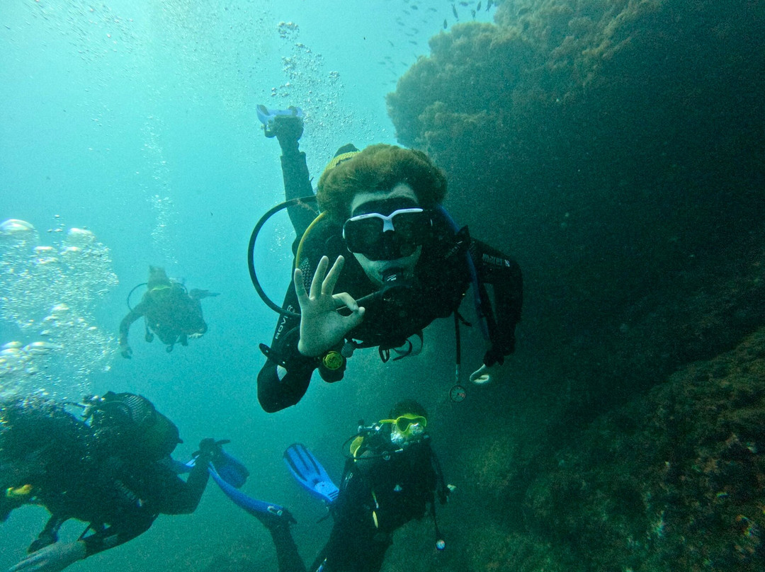 Buceo Aqualia La Herradura-拉埃拉杜拉必去景点