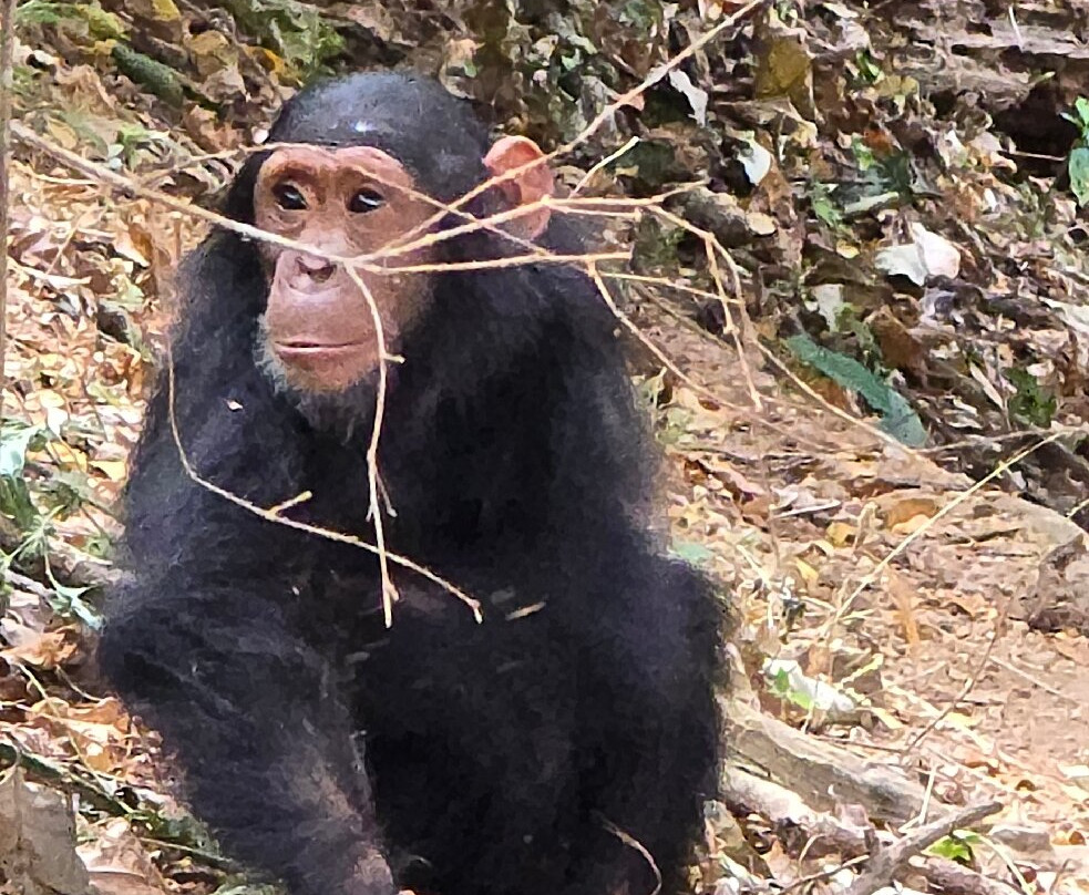 Nyasi Adventure-Dar es Salaam必去景点