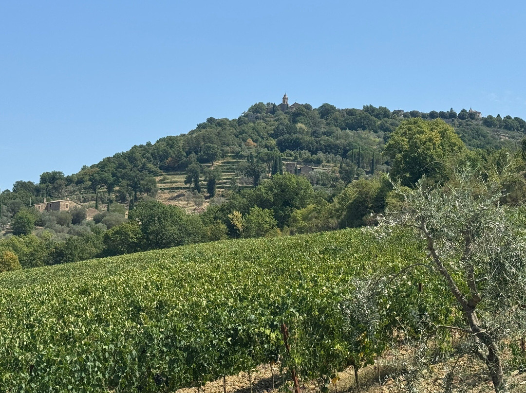 Casanuova delle Cerbaie-蒙塔尔奇诺必去景点