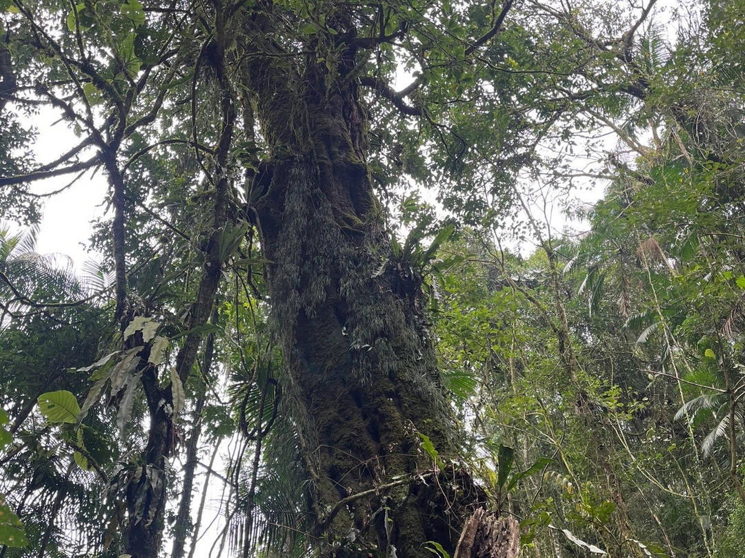 Focinho D'Anta Peak-Sao Francisco Xavier必去景点