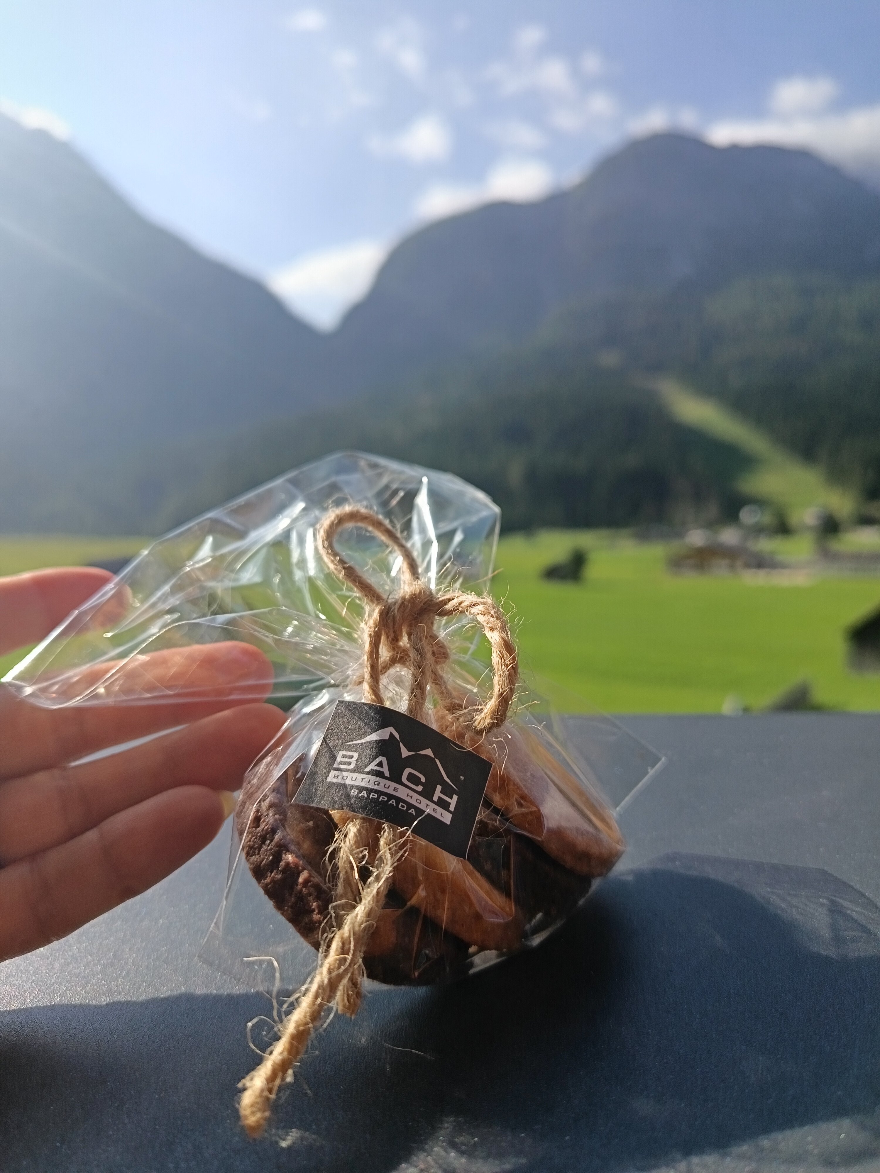 Bach Boutique Hotel-官方