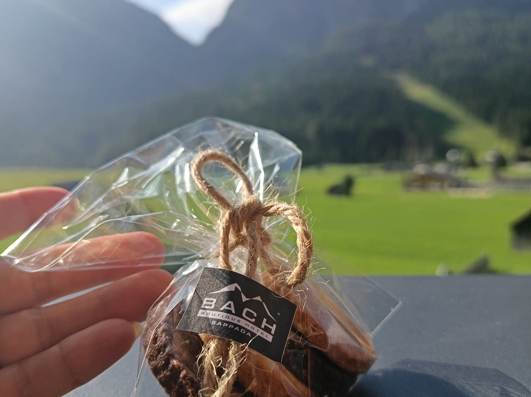 Bach Boutique Hotel主图