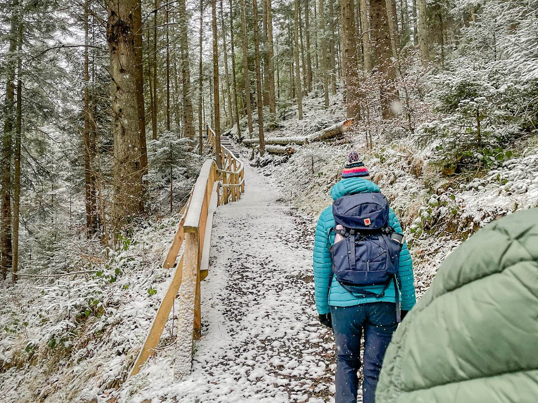 Dolina Rabskiego Potoku-Baligrod必去景点
