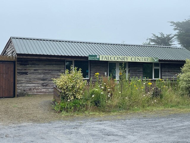 Mayfield Birds of Prey-Kilmacthomas必去景点