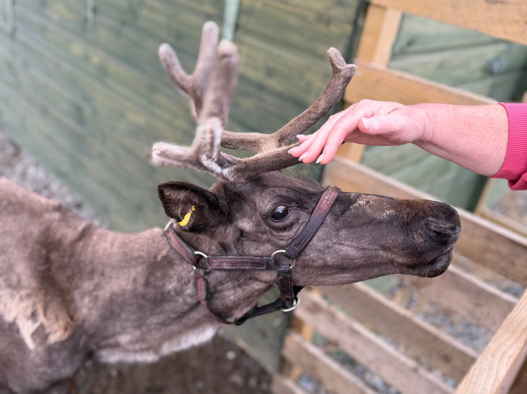 Caithness Animal Farm Park-Lybster必去景点