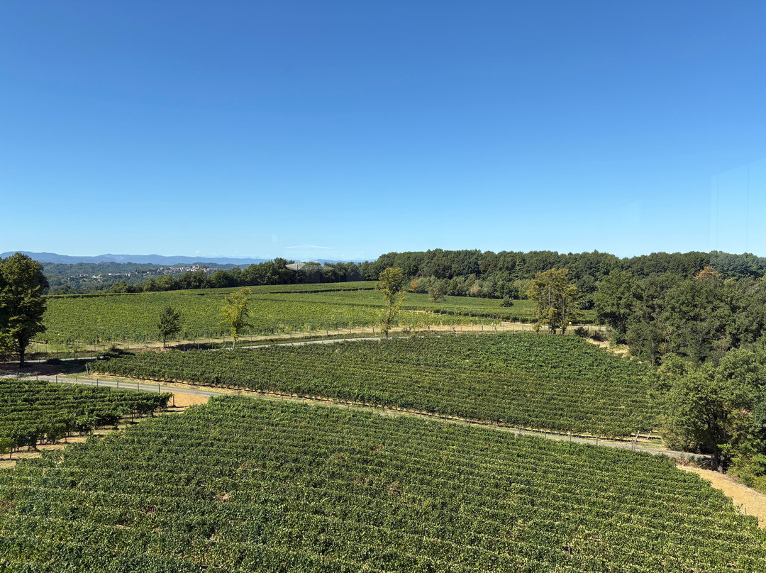 La Scolca-加维必去景点