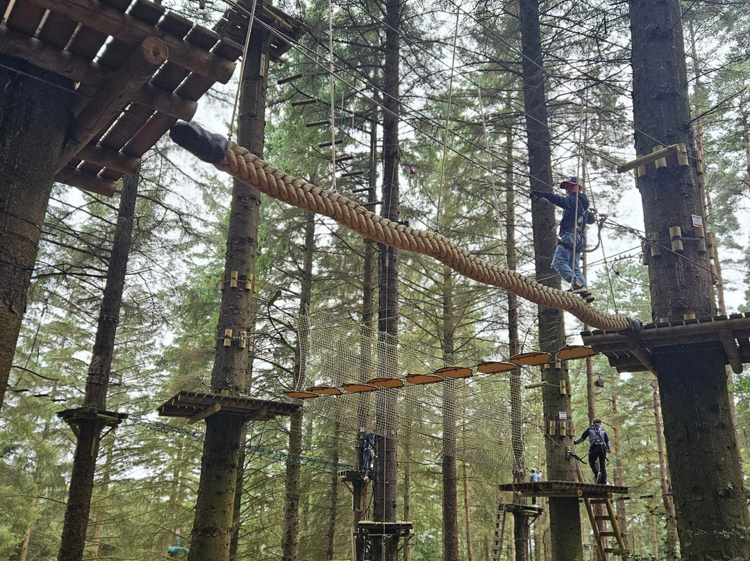 Zipit Forest Adventures-都柏林必去景点