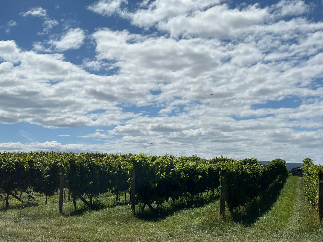 Spring Vale Wines-Cranbrook必去景点