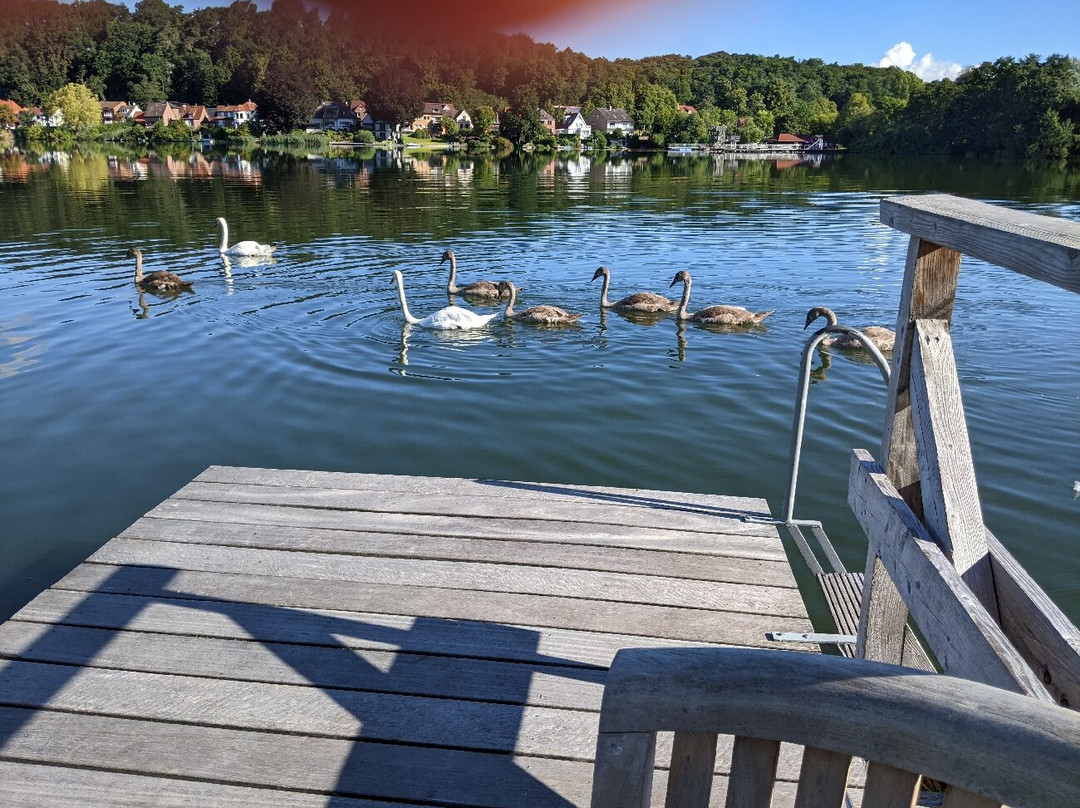 Pension Seeschlosschen主图