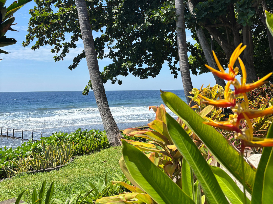 霍里威花园度假村主图