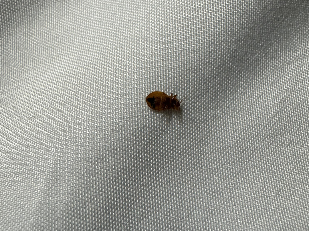 Quality Inn Stuart主图