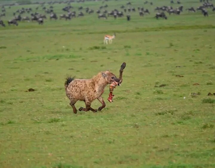 Stepclimb Adventures-莫西必去景点