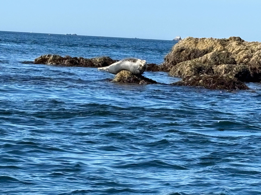 Archipel Excursions-勒孔凯必去景点