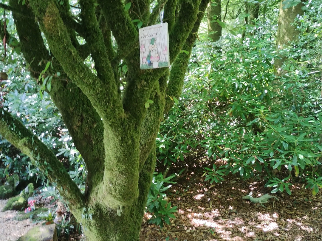 Pixieland-Dartmeet必去景点