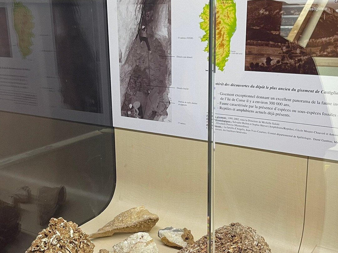 Musee Prehistorique-Sartene必去景点