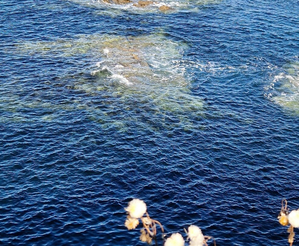 阿兰莫尔旅舍宾馆主图